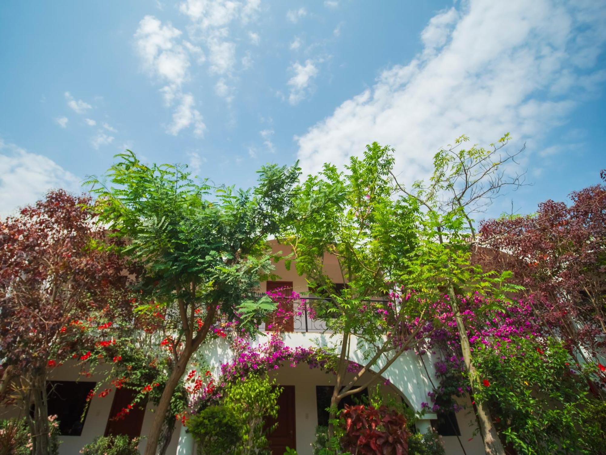Casa Hotel Mamaluna Lunahuana Bagian luar foto