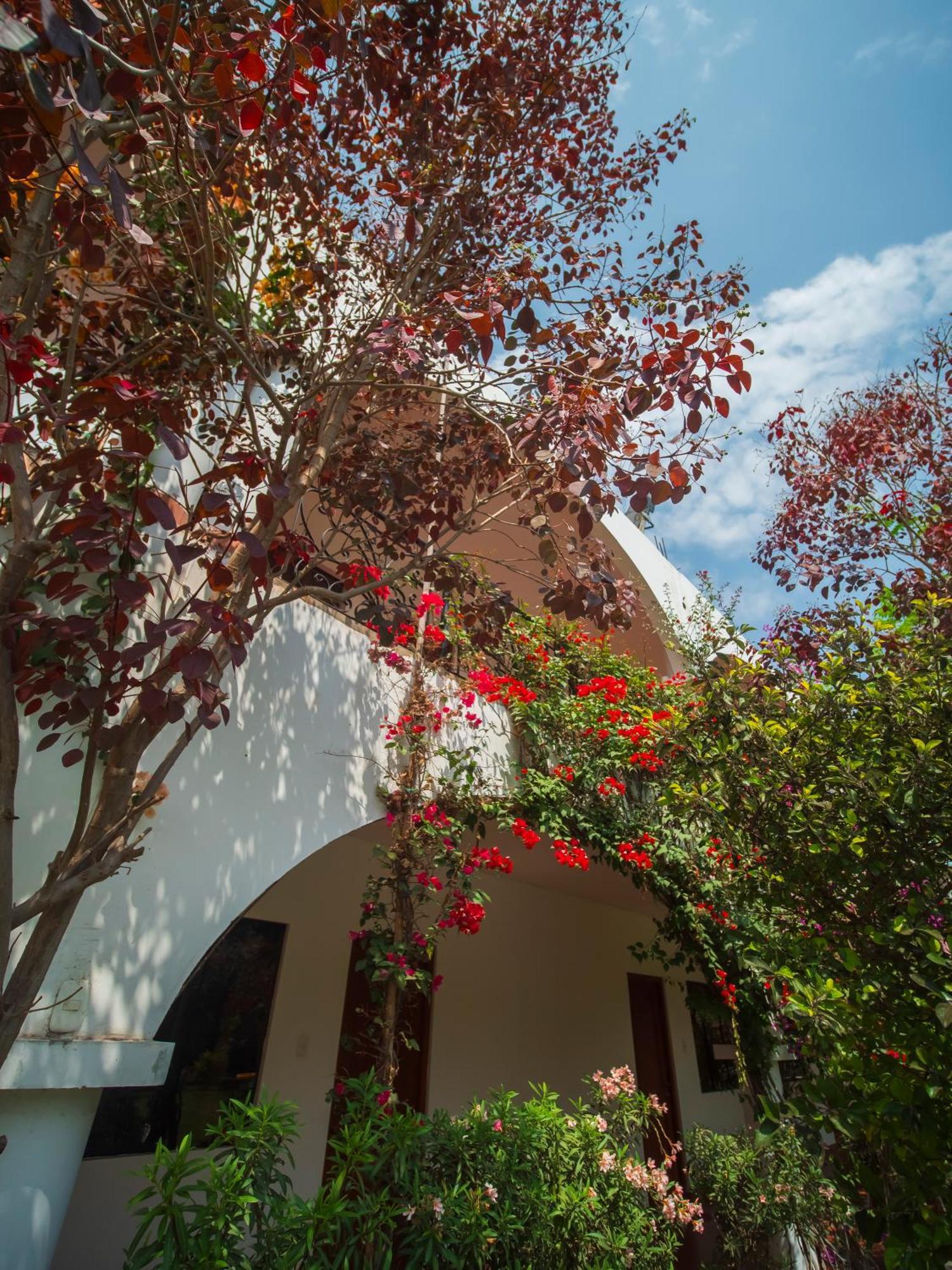 Casa Hotel Mamaluna Lunahuana Bagian luar foto